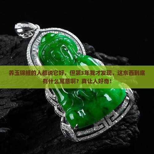 玉锦鲤的寓意