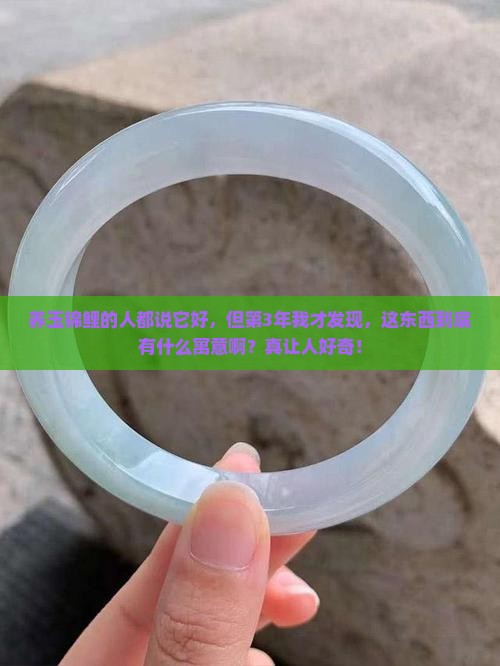 玉锦鲤的寓意