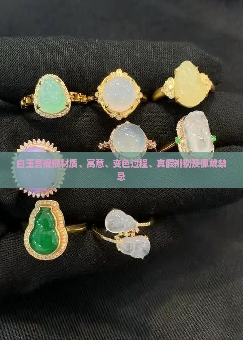 白玉菩提根