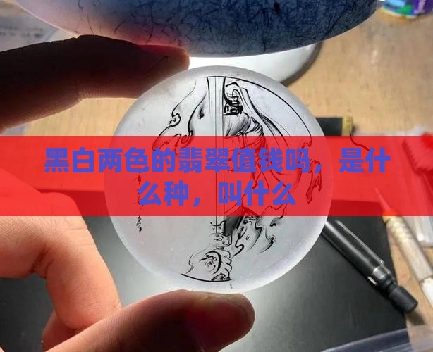 黑白两色的翡翠