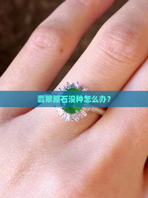 翡翠原石有种没种怎么办