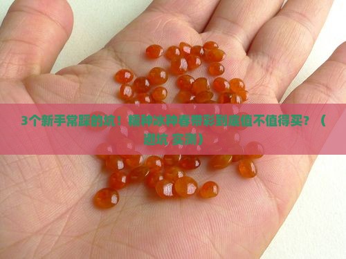 糯种冰种春带彩