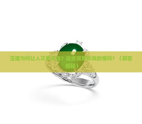 玉猫的寓意 玉猫的寓意