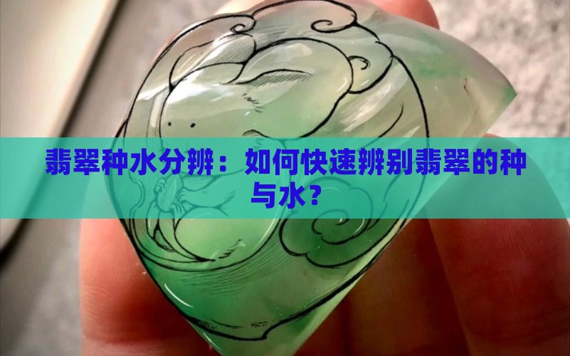 翡翠种水分辨