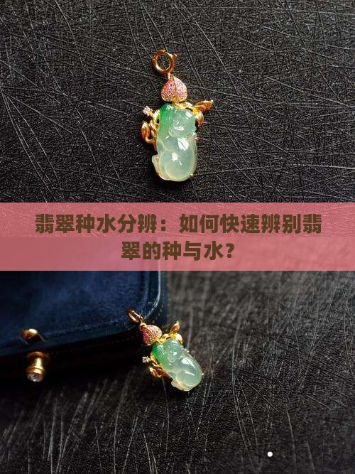 翡翠种水分辨