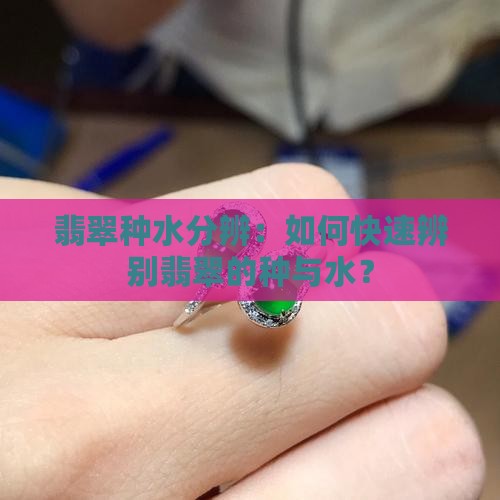 翡翠种水分辨
