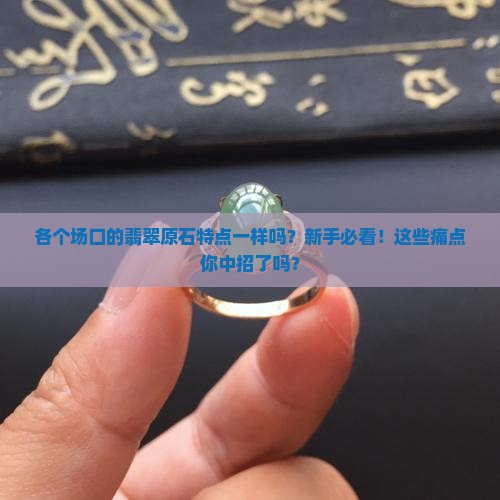 各个场口的翡翠原石特点一样吗