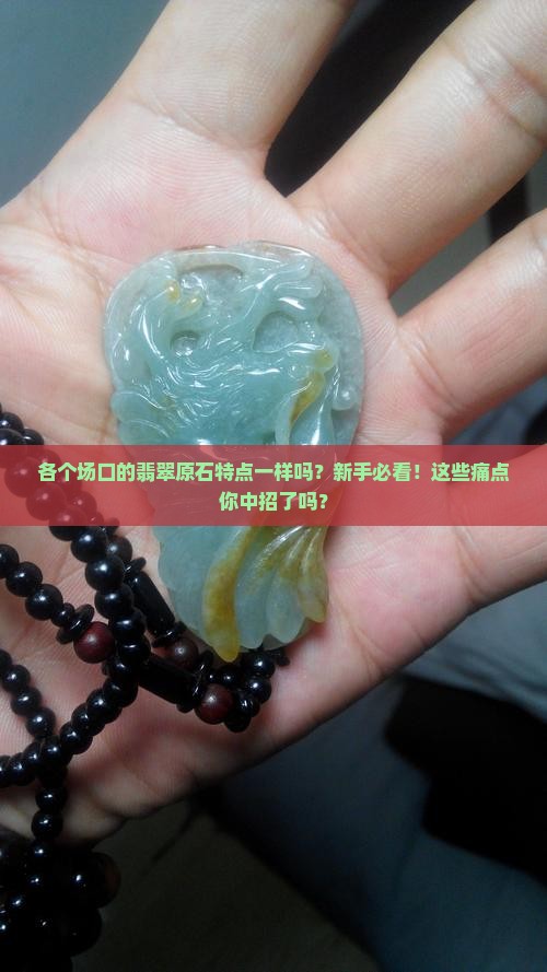 各个场口的翡翠原石特点一样吗