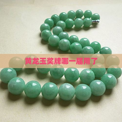 黄龙玉奖牌哪一届用了