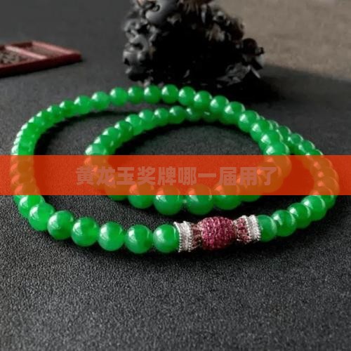 黄龙玉奖牌哪一届用了