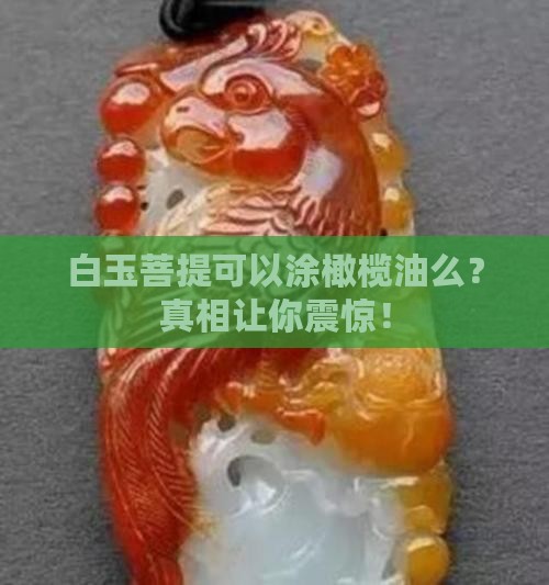 白玉菩提可以涂橄榄油么
