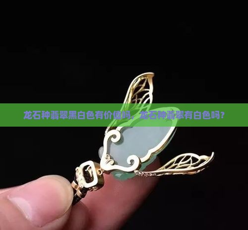 龙石种翡翠黑白色有价值吗