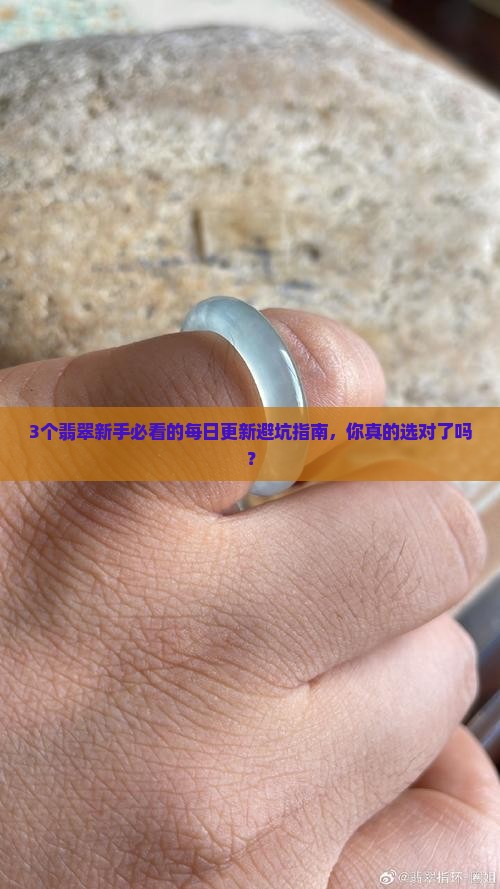翡翠每日更新