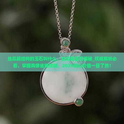 丝瓜瓤结构的玉石叫什么