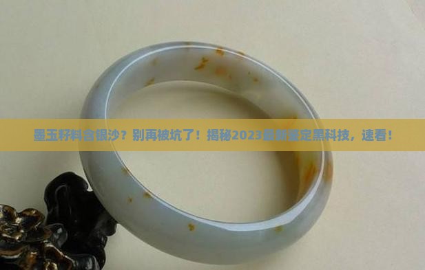 墨玉籽料含银沙