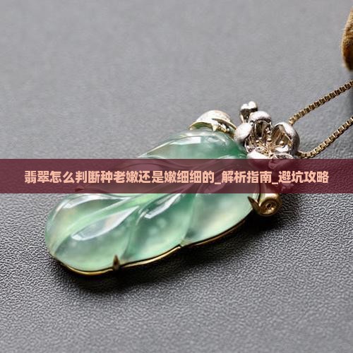 翡翠怎么判断种老嫩还是嫩细细的