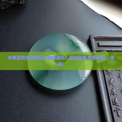 木那豆种翡翠原石