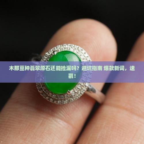木那豆种翡翠原石