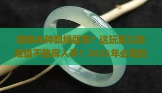 貔貅冰种飘绿翡翠