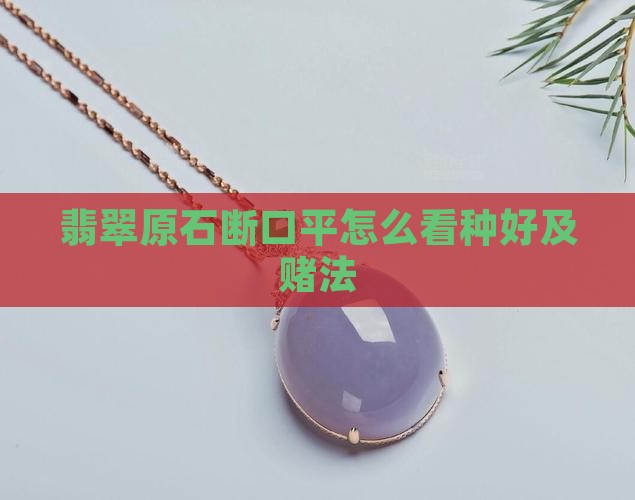 翡翠原石断口平