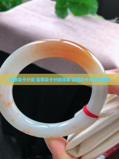 翡翠会卡分类