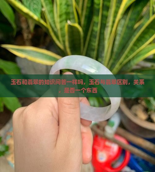 玉石和翡翠的知识问答一样吗