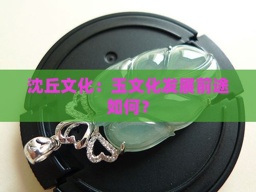 沈丘玉文化有发展前途吗