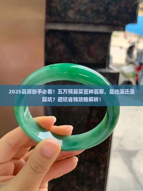 五万翡翠豆种值多少钱