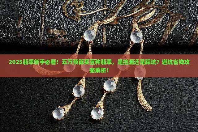 五万翡翠豆种值多少钱