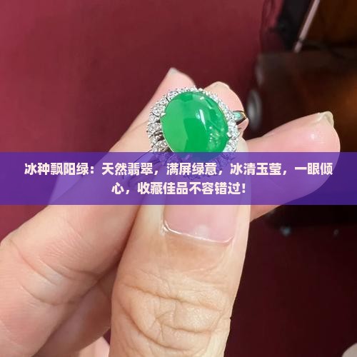 冰种飘阳绿