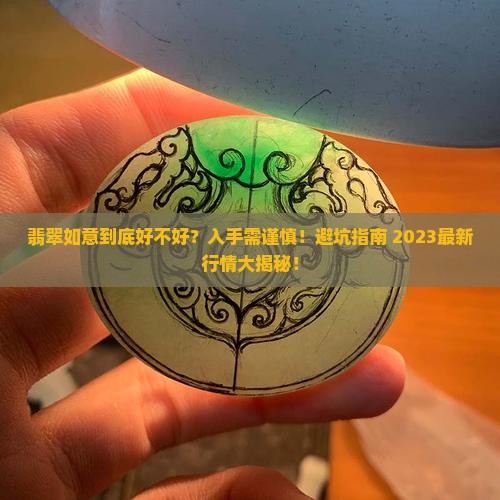 翡翠如意帮我看看好不好