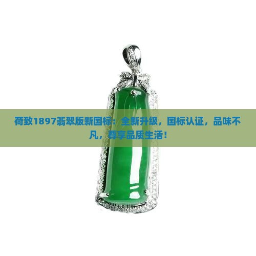 荷致1897翡翠版新国标