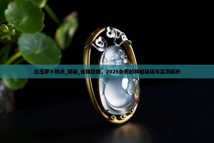 白玉萝卜特点