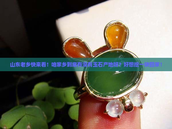 山东有玉石产地吗
