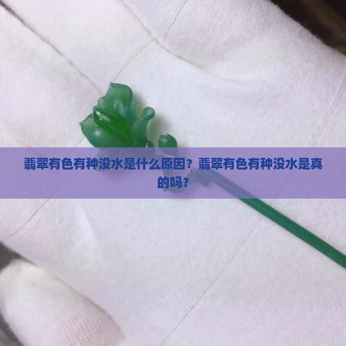 翡翠有色有种没水是