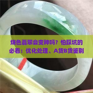 烧色翡翠会变种吗