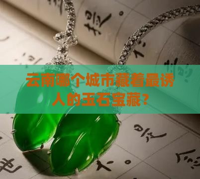 云南卖玉城市