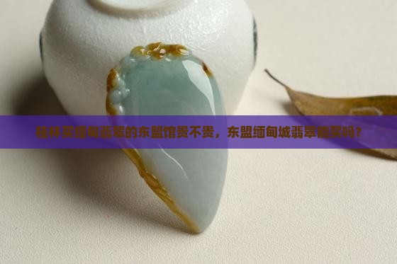 桂林买缅甸翡翠的东盟馆贵不贵