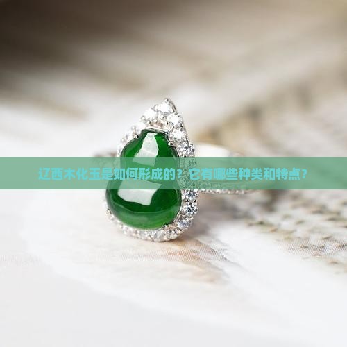 辽西木化玉