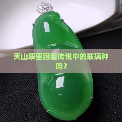 天山翠有玻璃种吗