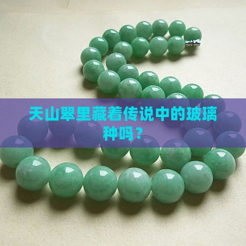天山翠有玻璃种吗