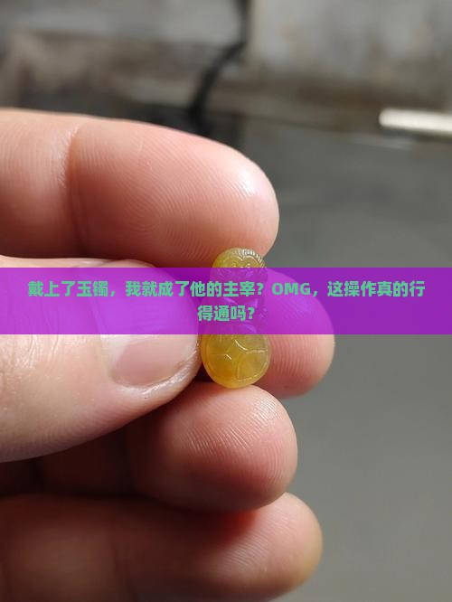 买了玉镯我就是他的主人吗