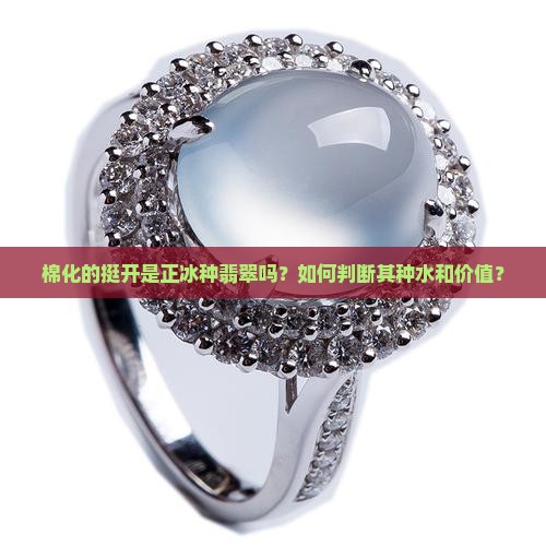 棉化的挺开是正冰种水了吗