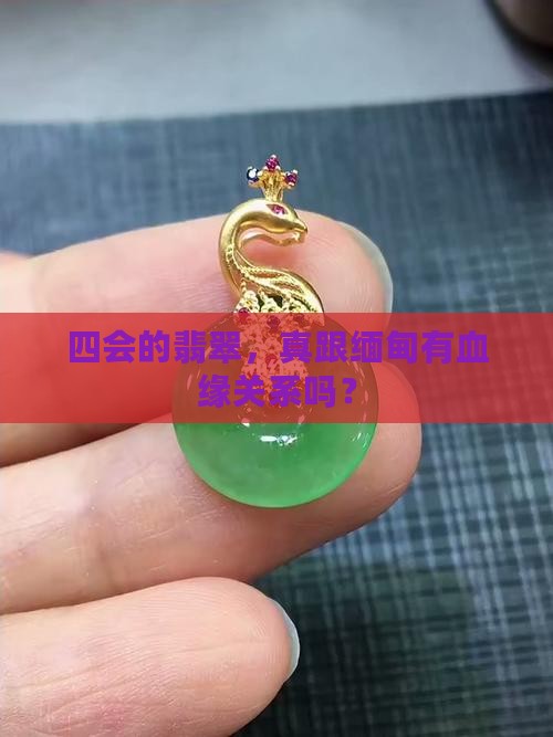广东四会的翡翠是缅甸的吗