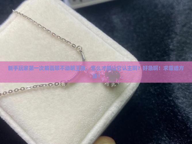 翡翠不动守护神怎么认主