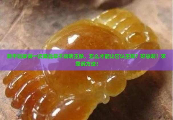 翡翠不动守护神怎么认主