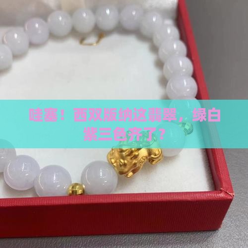 西双版纳三色翡翠绿白紫