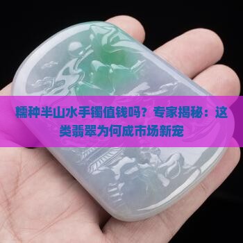 糯种半山水手镯值钱吗