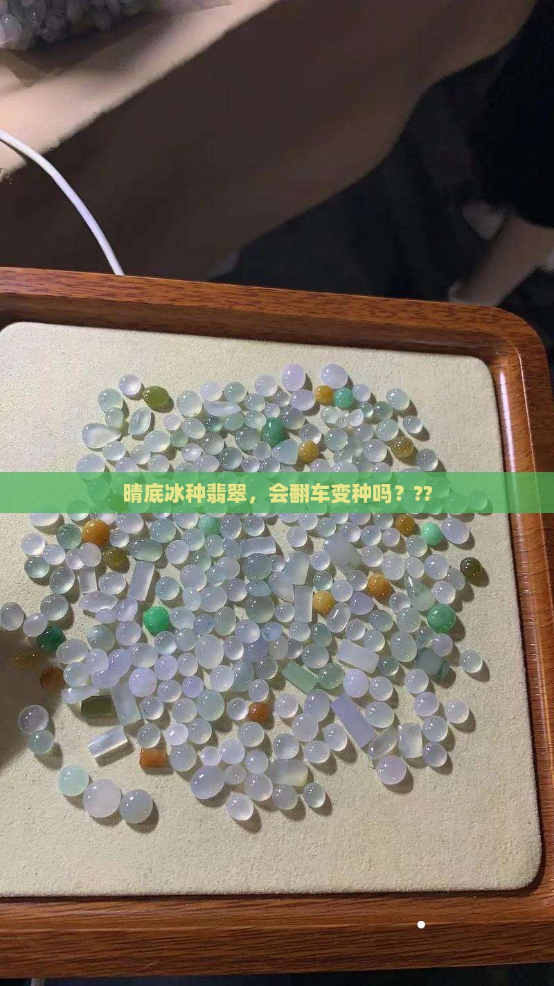晴底冰种翡翠会变种吗