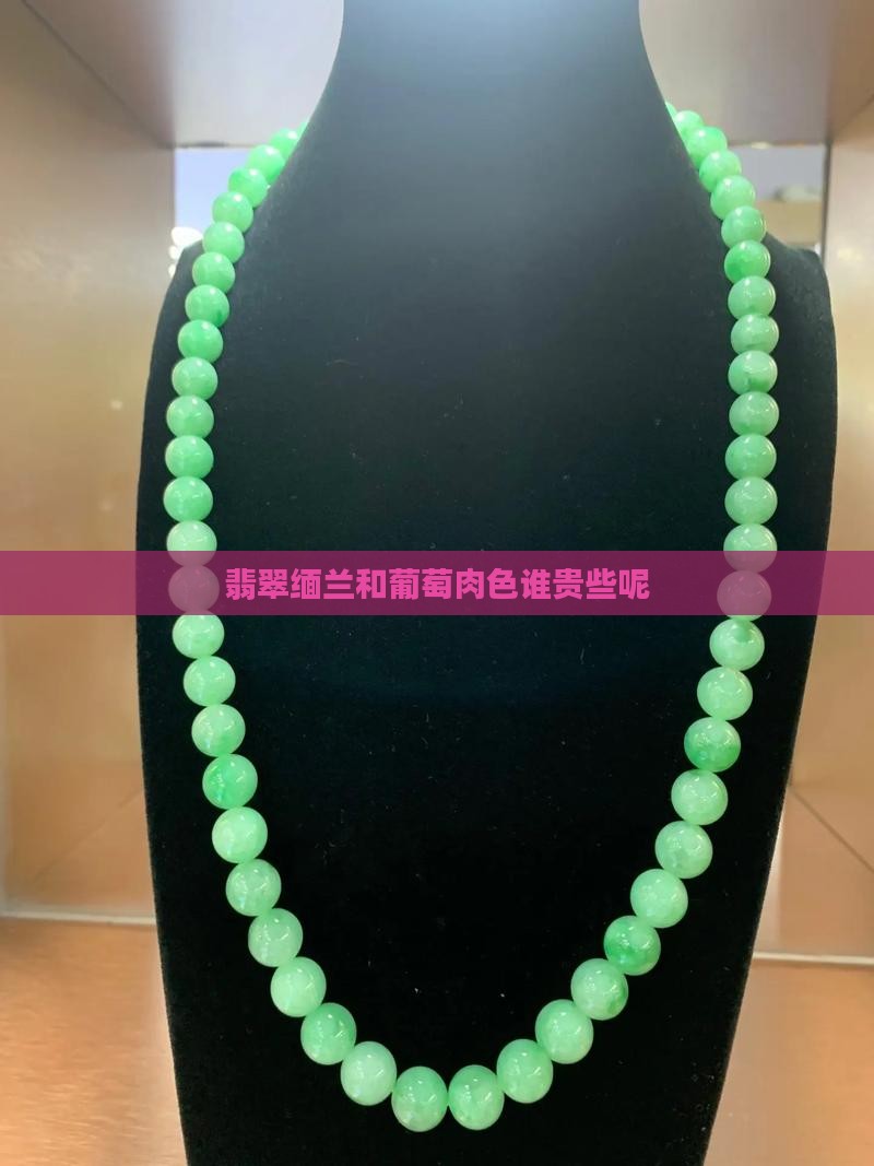 翡翠缅兰和葡萄肉色谁贵些